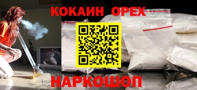 тгк Бийск