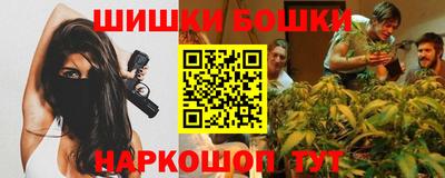 тгк Бийск