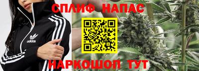 тгк Бийск
