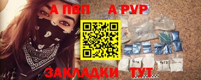 тгк Бийск