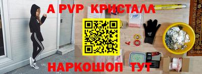 тгк Бийск