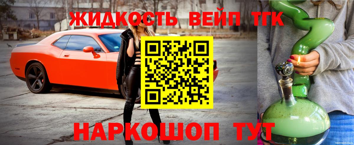 Димитровград  ТГК концентрат  Вход с VPN 