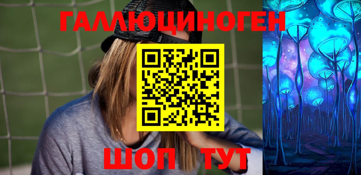 Димитровград  Галлюциногенные грибы Psilocybe  Вход с VPN 